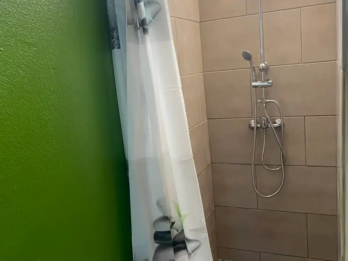 Salle d'eau avec douche à l'italienne et mur vert